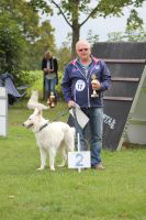 Weisse Schferhunde, weier schferhund Zuchtverband, European Champion Cuo Ausstellung Jjunghundkl. rde langst (3)
