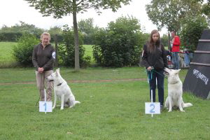 Weisse Schferhunde, weier schferhund Zuchtverband, European Champion Cuo Ausstellung Off.Klasse Rden (3)