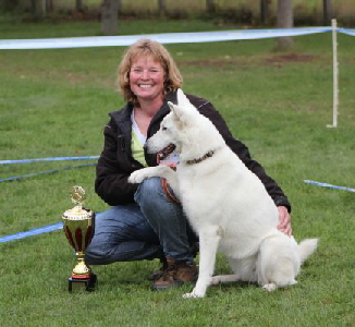 Weisse Schferhunde, weier schferhund Zuchtverband, European Champion Cuo Ausstellung beste hndin (2)