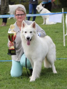 Weisse Schferhunde, weier schferhund Zuchtverband, European Champion Cuo Ausstellung bester rde (8)
