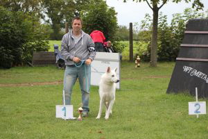 Weisse Schferhunde, weier schferhund Zuchtverband, European Champion Cuo Ausstellung champ.kl rde stock (1)
