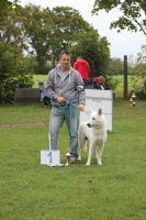 Weisse Schferhunde, weier schferhund Zuchtverband, European Champion Cuo Ausstellung champ.kl rde stock (2)