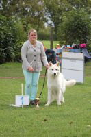 Weisse Schferhunde, weier schferhund Zuchtverband, European Champion Cuo Ausstellung champ.kl langst (1)
