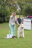 Weisse Schferhunde, weier schferhund Zuchtverband, European Champion Cuo Ausstellung champ.kl langst (2)