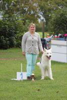 Weisse Schferhunde, weier schferhund Zuchtverband, European Champion Cuo Ausstellung champ.kl langst (4)