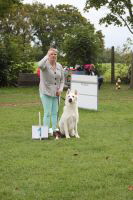Weisse Schferhunde, weier schferhund Zuchtverband, European Champion Cuo Ausstellung gebrauchshundkl.rde langst (3)