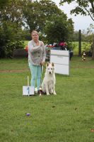 Weisse Schferhunde, weier schferhund Zuchtverband, European Champion Cuo Ausstellung gebrauchshundkl.rde langst (5)