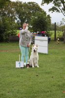 Weisse Schferhunde, weier schferhund Zuchtverband, European Champion Cuo Ausstellung gebrauchshundkl.rde langst (4)