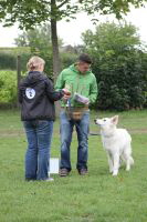 Weisse Schferhunde, weier schferhund Zuchtverband, European Champion Cuo Ausstellung jngstenkl rde landst (2)