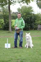 Weisse Schferhunde, weier schferhund Zuchtverband, European Champion Cuo Ausstellung jngstenkl rde landst (5)