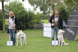 Weisse Schferhunde, weier schferhund Zuchtverband, European Champion Cuo Ausstellung jngstenkl rde stock (8)