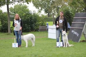 Weisse Schferhunde, weier schferhund Zuchtverband, European Champion Cuo Ausstellung jngstenkl rde stock (9)