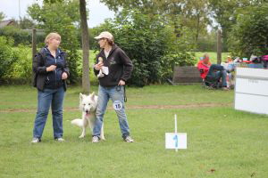 Weisse Schferhunde, weier schferhund Zuchtverband, European Champion Cuo Ausstellung jugendkl. rde stock (2)