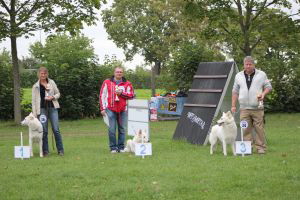 Weisse Schferhunde, weier schferhund Zuchtverband, European Champion Cuo Ausstellung off.kl.hndin langst.  (14)