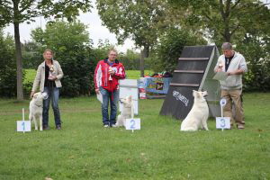 Weisse Schferhunde, weier schferhund Zuchtverband, European Champion Cuo Ausstellung off.kl.hndin langst.  (13)