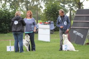Weisse Schferhunde, weier schferhund Zuchtverband, European Champion Cuo Ausstellung welpenklasse hndin langstock
