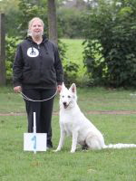Weisse Schferhunde, weier schferhund Zuchtverband, European Champion Cuo Ausstellung zuchtklasse_hndin_langst (2)