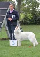 Weisse Schferhunde, weier schferhund Zuchtverband, European Champion Cuo Ausstellung zuchtklasse_hndin_langst (4)
