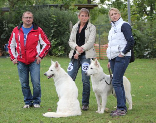 Weisser Schferhund, weisse Schferhunde, weisser Schferhund Zuchtverband Ausstellung 2015 IMG_0122