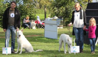 Weisser Schferhund, weisse Schferhunde, weisser Schferhund Zuchtverband Ausstellung Deutschlandsieger IMG_0440