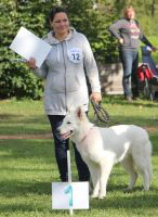 Weisser Schferhund, weisse Schferhunde, weisser Schferhund Zuchtverband Ausstellung Deutschlandsieger IMG_0450