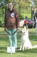 Weisser Schferhund, weisse Schferhunde, weisser Schferhund Zuchtverband Ausstellung Deutschlandsieger IMG_0453