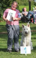 Weisser Schferhund, weisse Schferhunde, weisser Schferhund Zuchtverband Ausstellung Deutschlandsieger IMG_0511