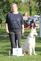 Weisser Schferhund, weisse Schferhunde, weisser Schferhund Zuchtverband Ausstellung Deutschlandsieger IMG_0530