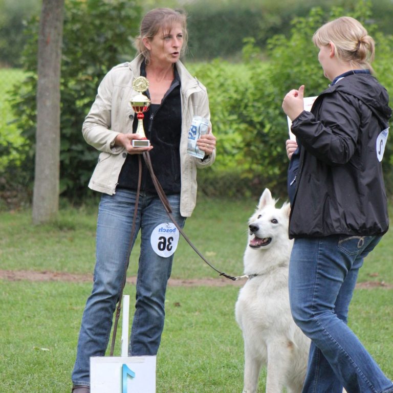 weisse Schäferhunde welpen