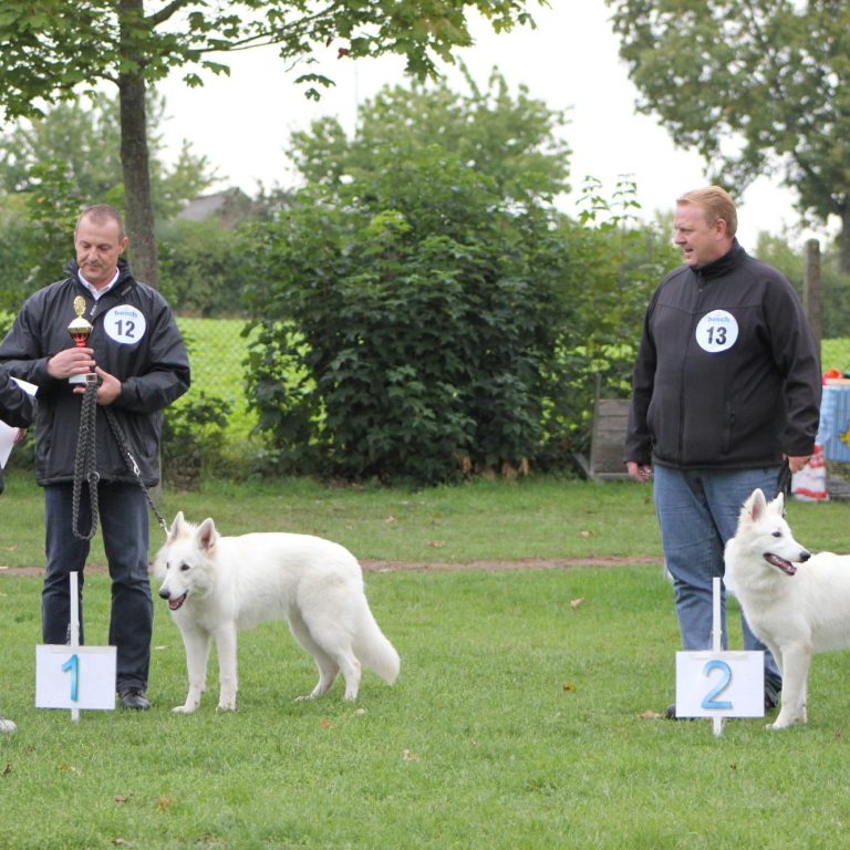 weisse schäferhund züchter